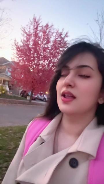 @vamp19
