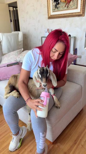 @⚔️🐣Deysi Araujo Z🐣⚔️