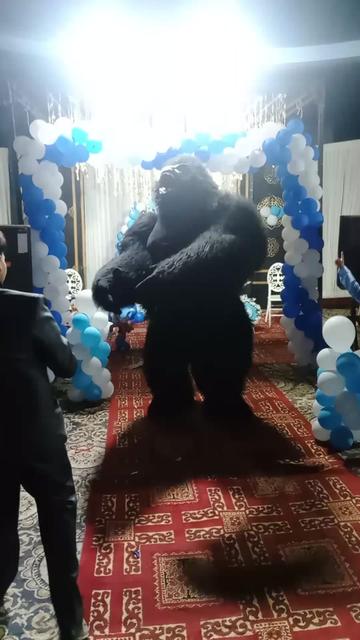 @zaidi