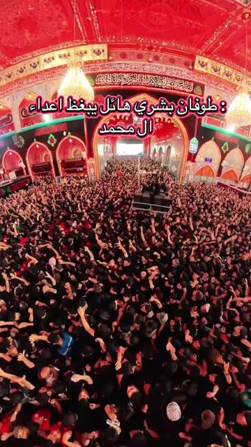 @أحمد أبو علي