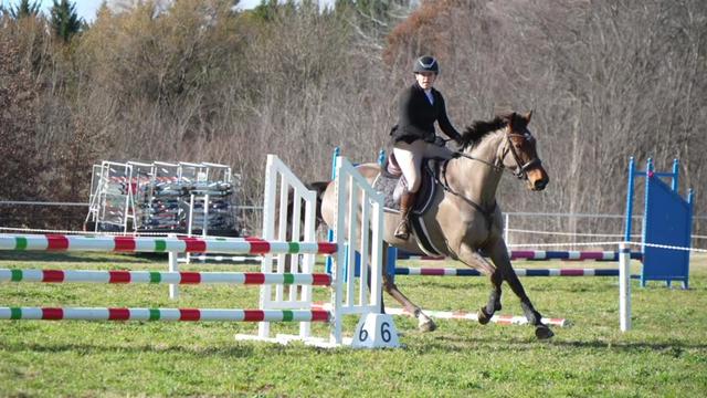 @TDDG Equestrian