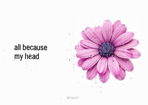 @𝖉𝖎𝖒𝖎♱