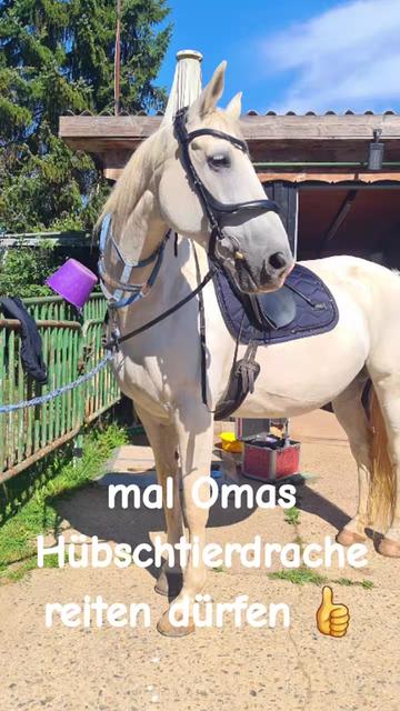 @Ponykids Freitagsgrund