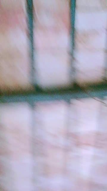 @Shah Jahan Khan