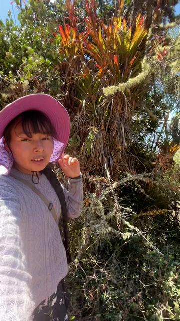 @🐈Rebeca y sus ocurrencias