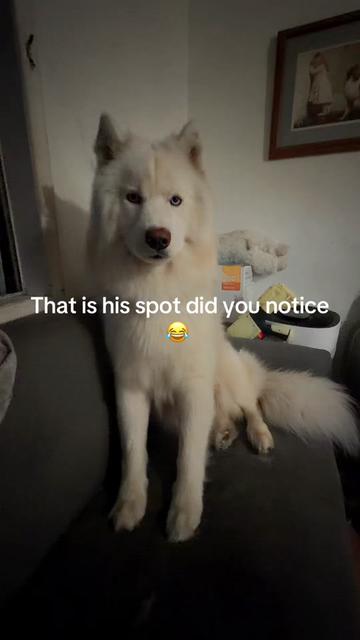 @Mari