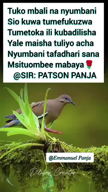@@panja_tz