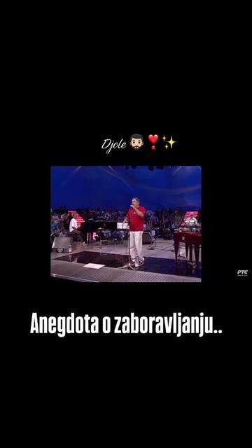 @SREDA🐾