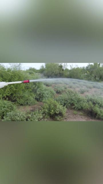 @12newsaz