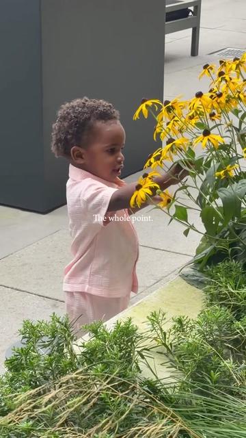 @Honey | Mom & Baby Life
