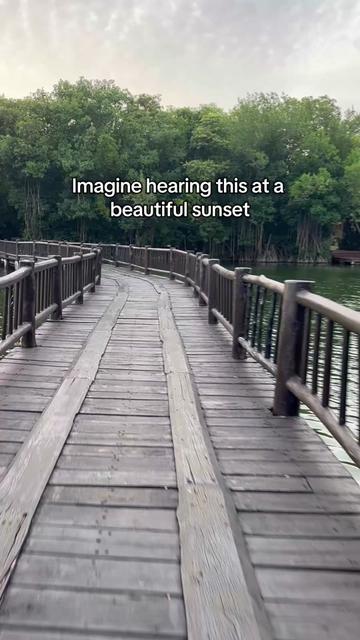 @Akiva Hammond