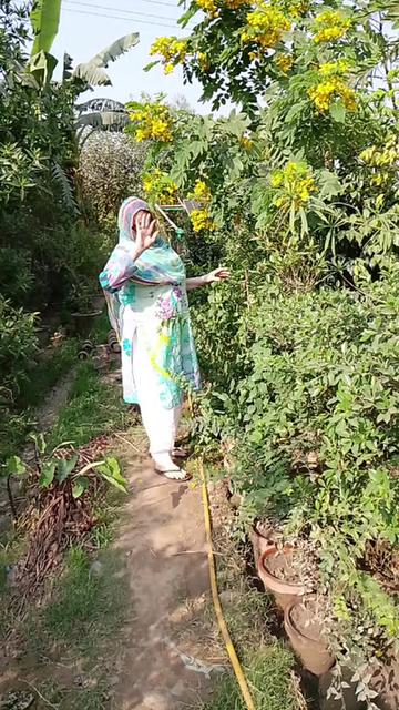 @Bushra786