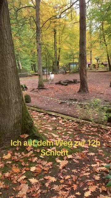 @Der Notfallsanit&auml;ter