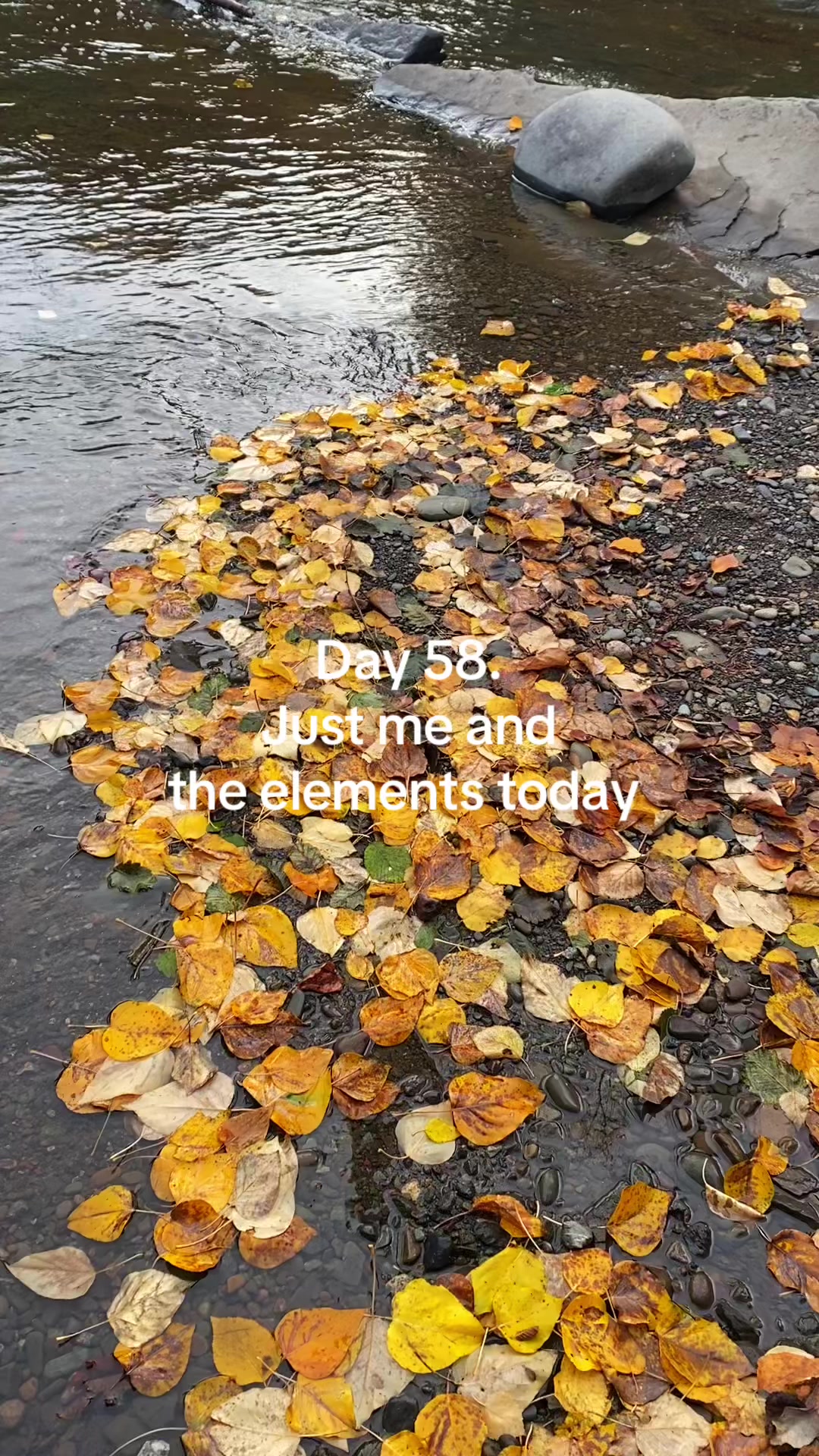 @leandradips