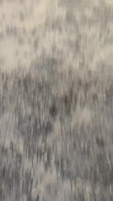 @𝑵𝑿𝑳._Sʜᴀᴡɴ📿🏴