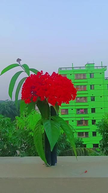 @Ramjan