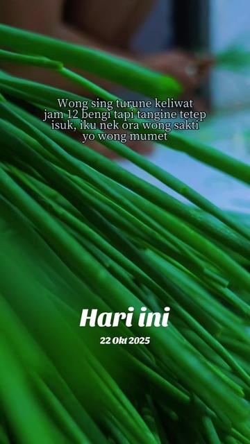 @supplier sayur dan buah sby