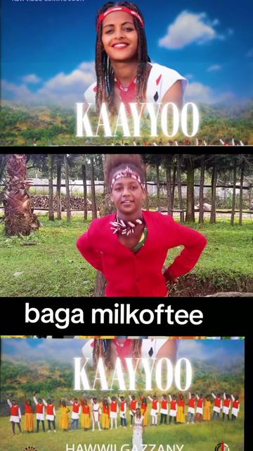 @yeeroosan shuguxii shawaa