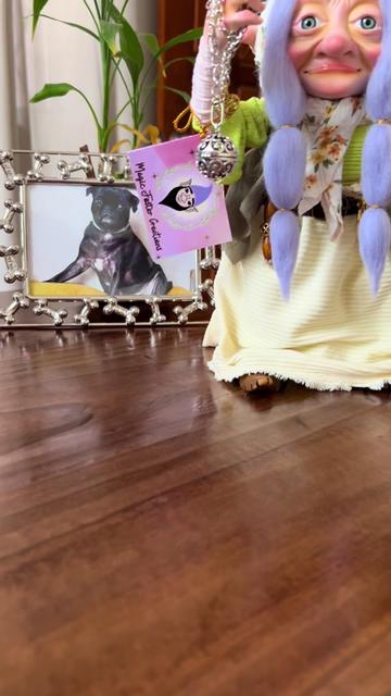 @Magic Foster Creations
