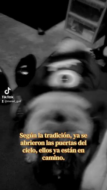 @❀┋ᴸᴬ ᴄ͢͢͢ʀɪᴍɪʙᴀʙʏ ♡🕵🏻♀️⚖️