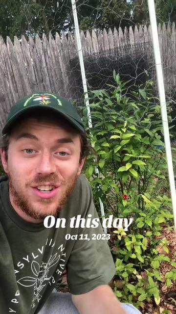 @Andrew The Arborist