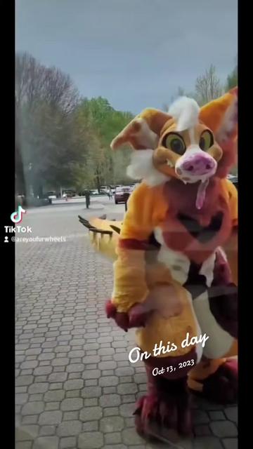 @Areyoufurwheels