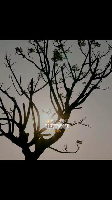 @✨SONG BANYUWANGI✨