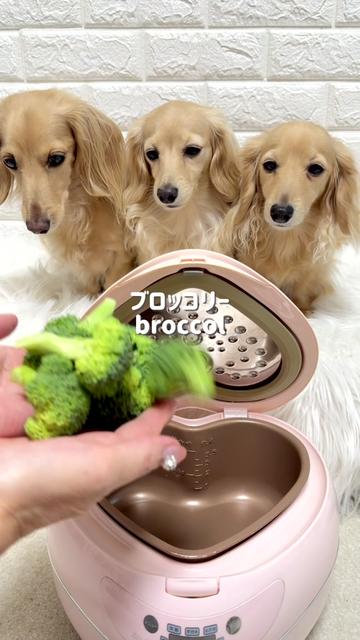 @ðããããªãŸã
ð