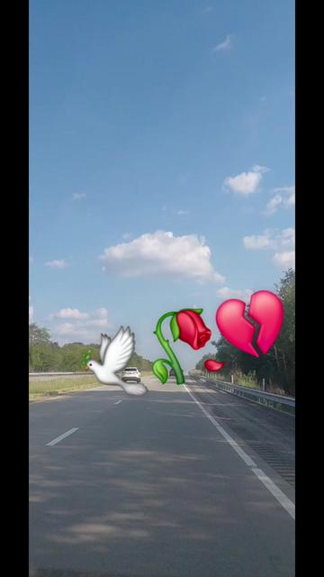 @👵🕊tomasita👼🕊