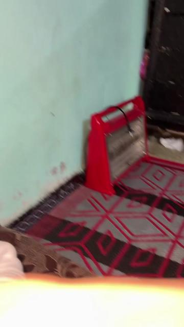 @يوميات حمادة