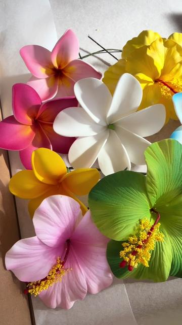 @Island Aesthetica 🌺