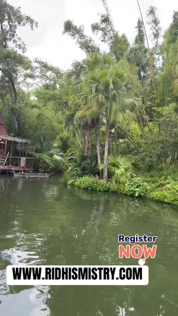 @ridhismistry