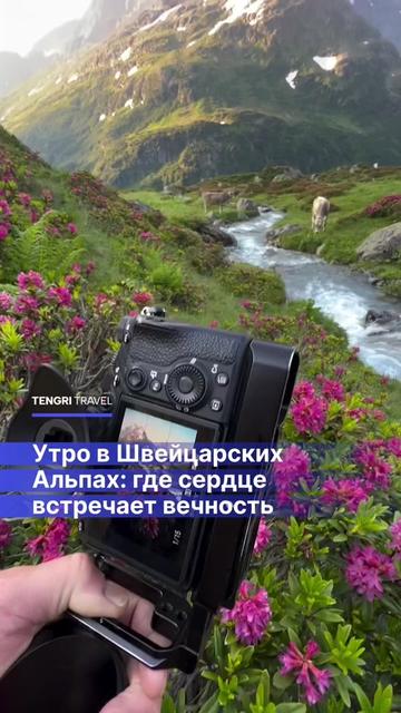 @Tengri Travel 🌍