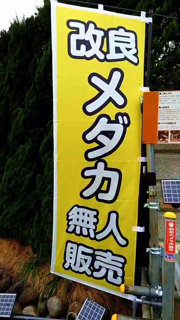 @gmmedaka.niigata