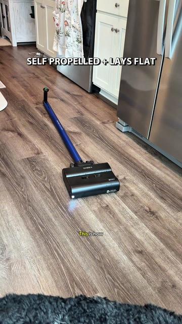 @Archie The Bernedoodle