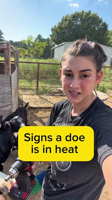 @Heart & Hoof Homestead