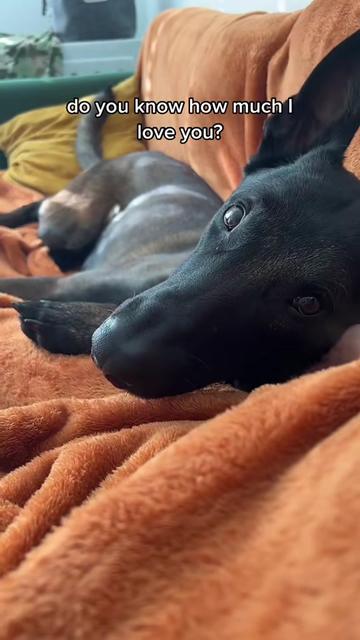 @Andie and Magnus