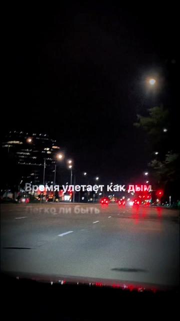 @svitlanalikitarch