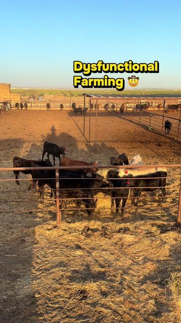 @Skylar Farming