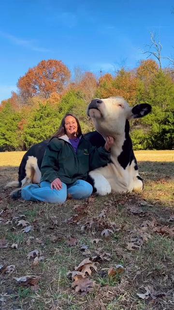 @The Gentle Barn | Sanctuary