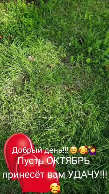 @Ainagul