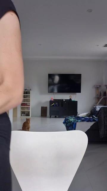@bodikaidenandi
