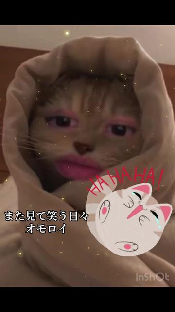 @hinane1828