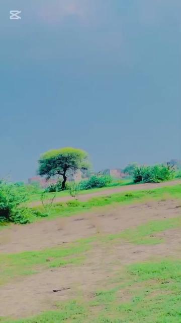 @ladlamalik488