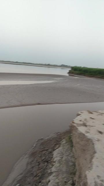 @shahbaz Punjabi 0786