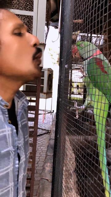 @Nawazuddin