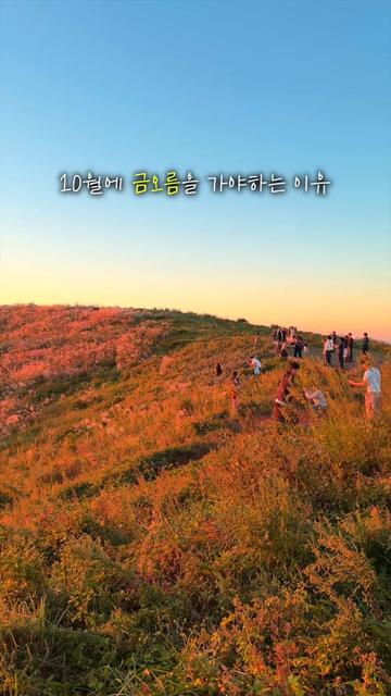 @제주도