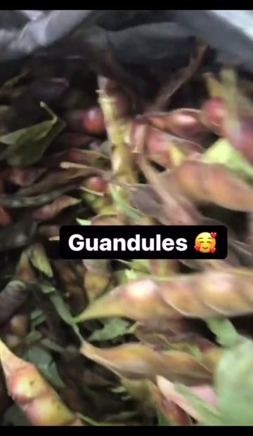 @🇩🇴Dominicano_y_ya🇩🇴