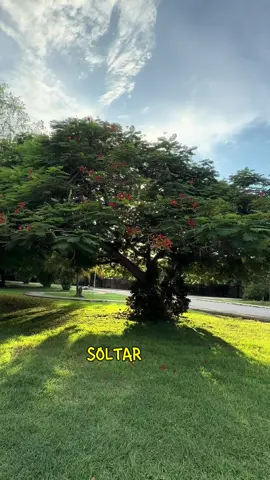 @Karla Caballero Locutora