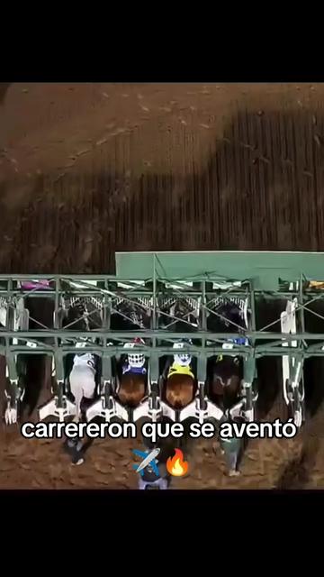@carriles altos de jalisco🐎